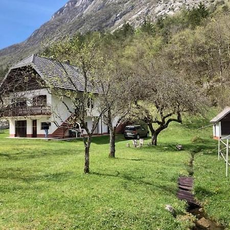 Roja House Lägenhet Soča Exteriör bild